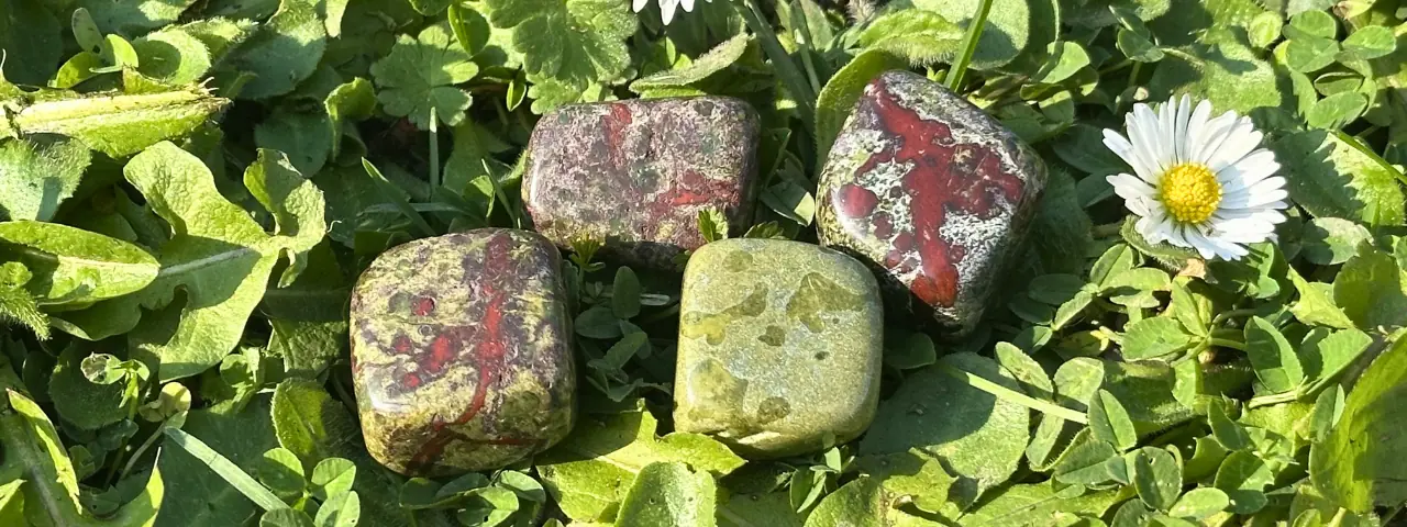 plusieurs pierres de jaspe sang de dragon posées dans l'herbe