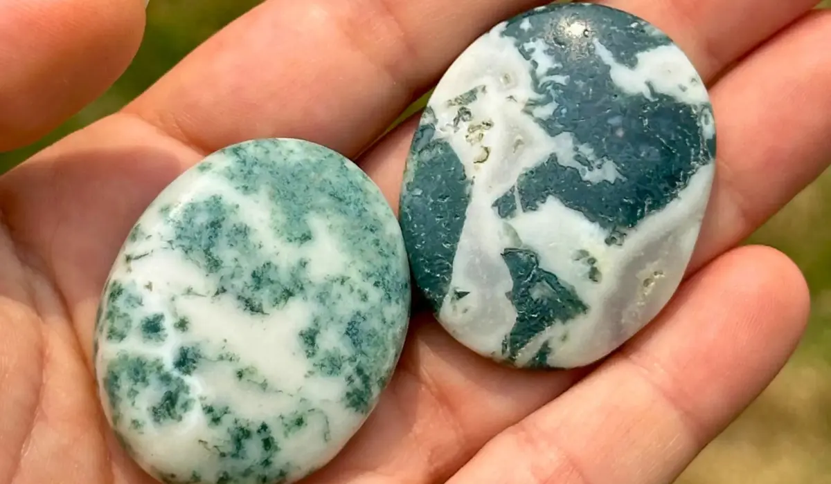 deux agates arbres, pierre de naissance dans la main