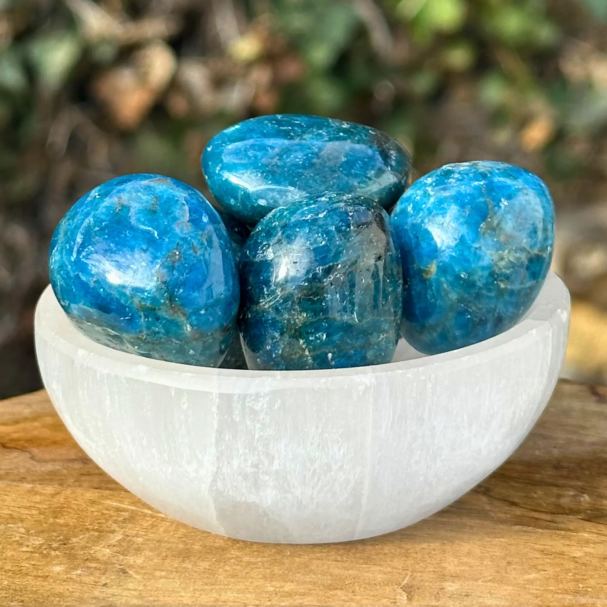 apatite roulée dans un bol