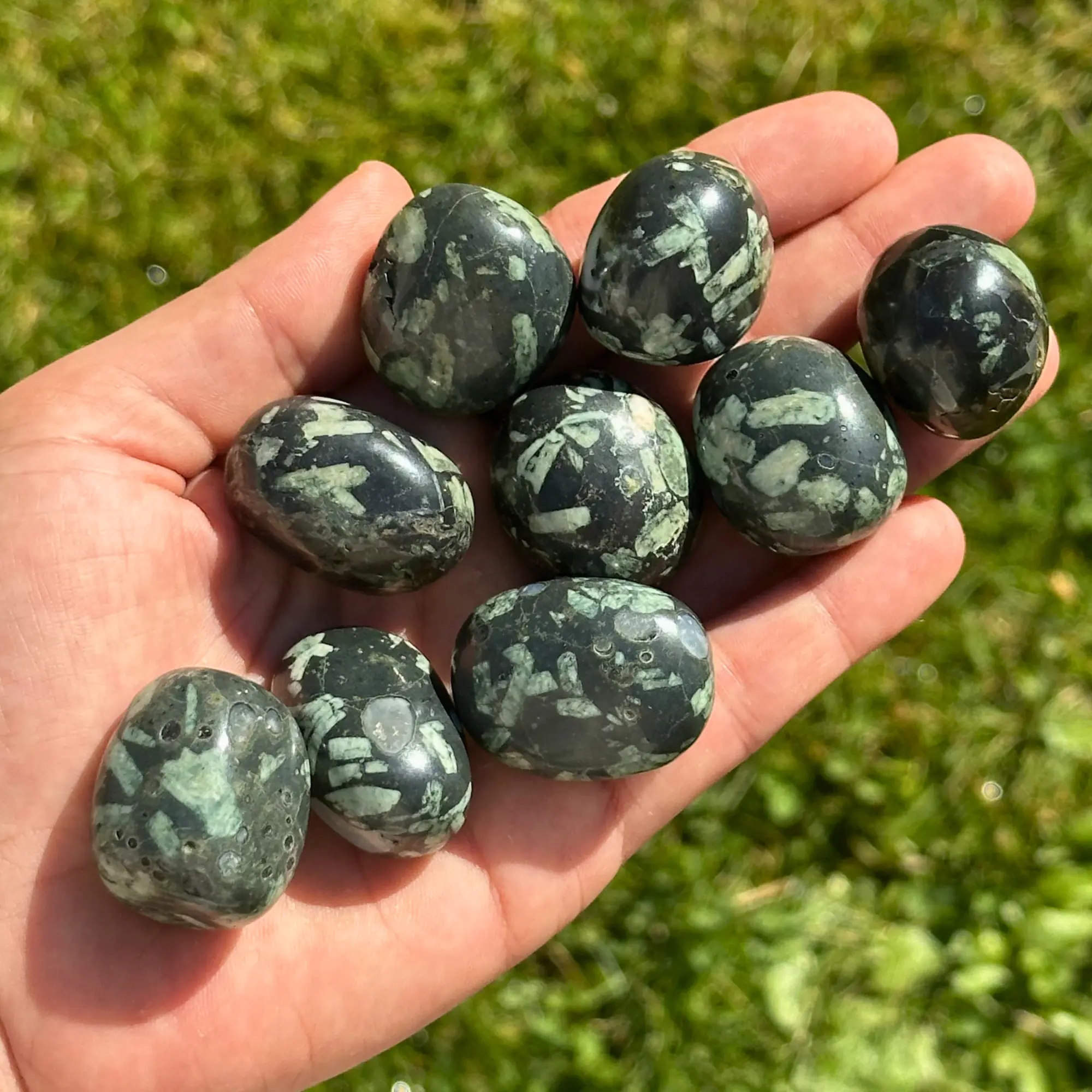 Pierre chrysanthème dans la main