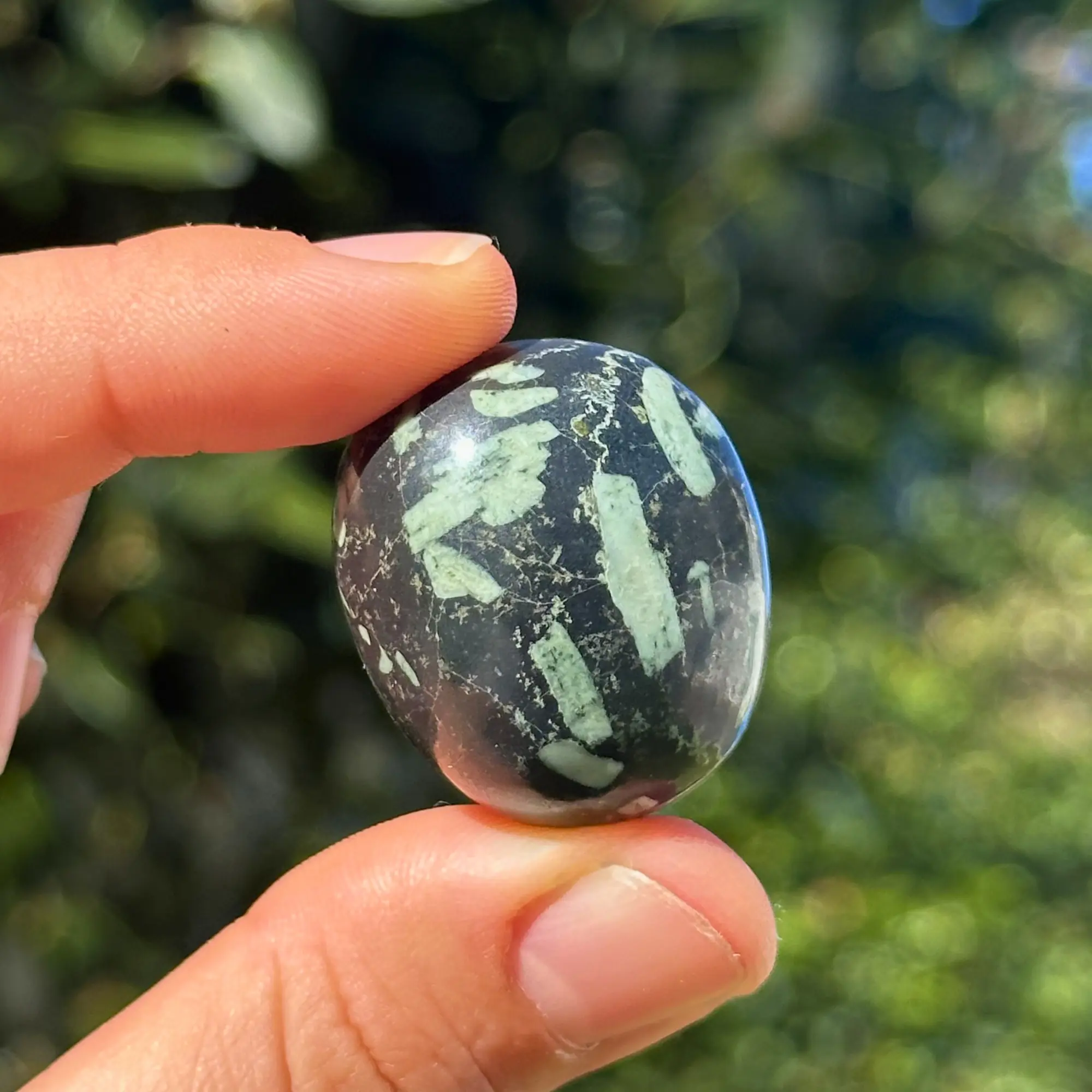 Pierre chrysanthème tenue entre les doigts