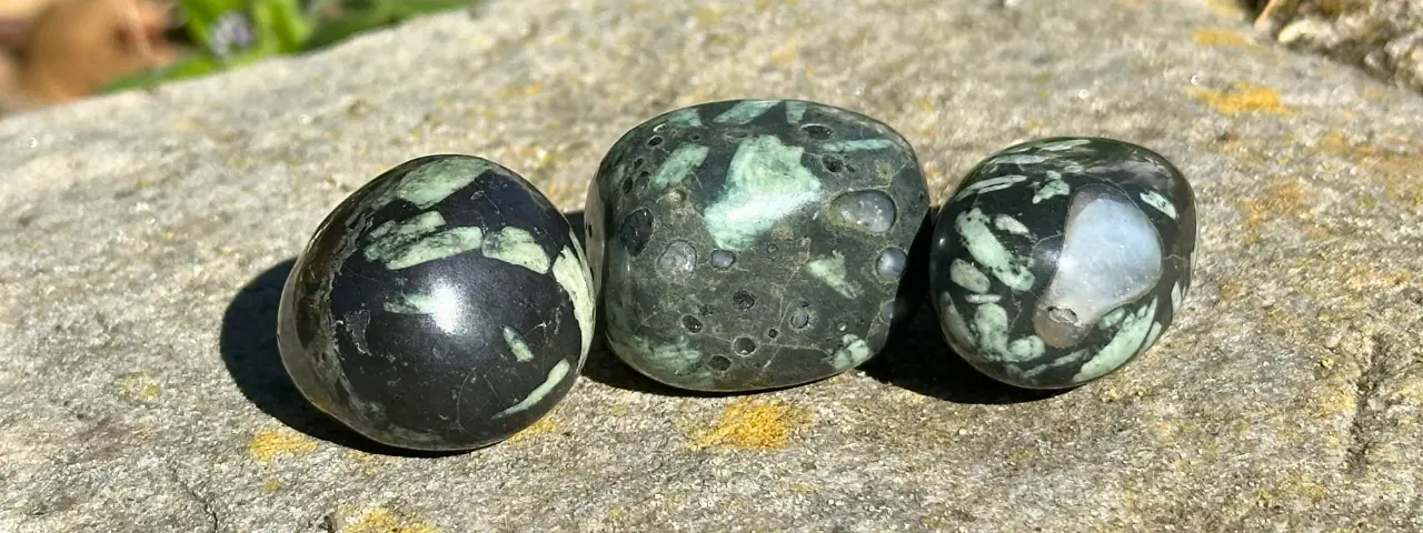 Pierre chrysanthème posée sur un rocher