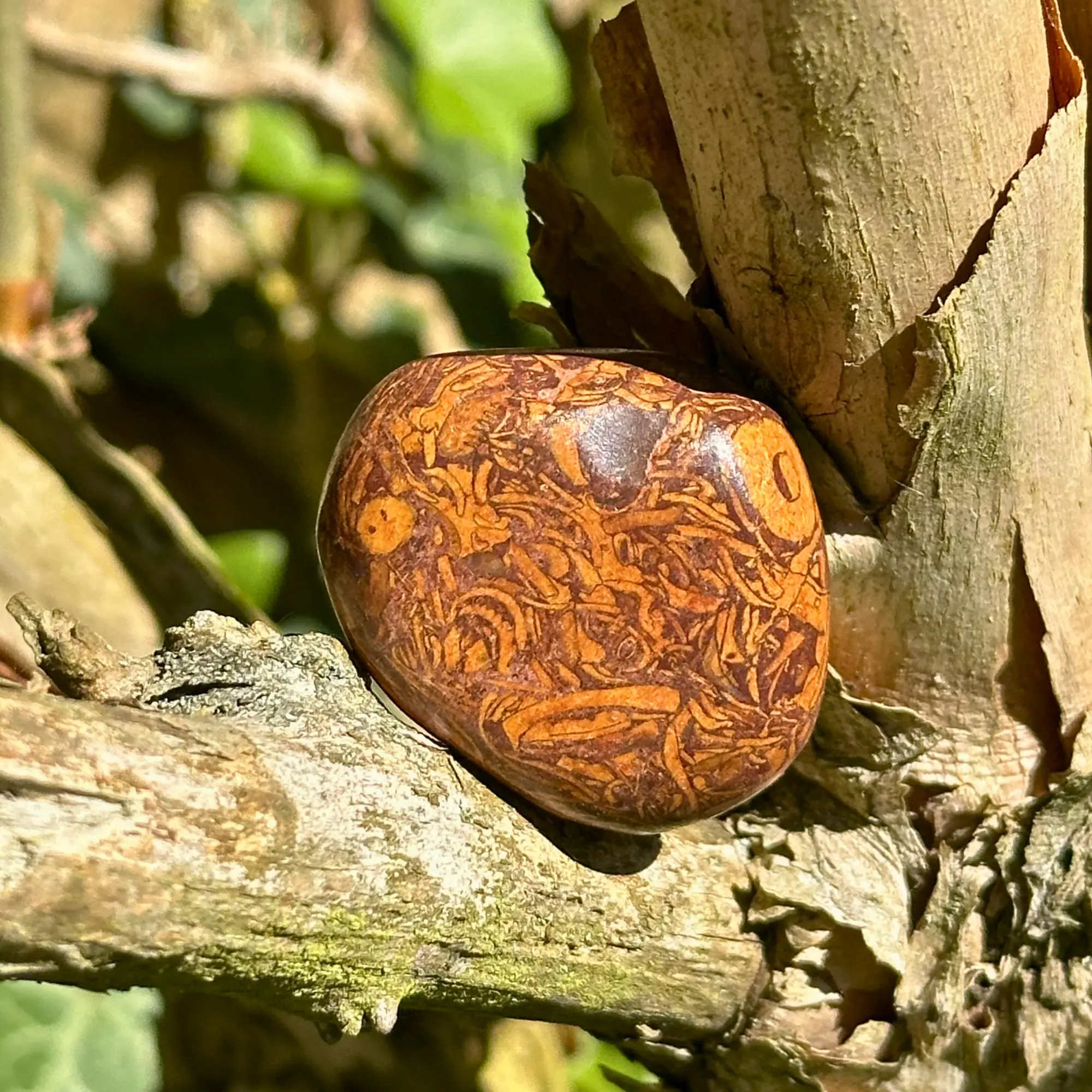 Jaspe peau de serpent roulée dans un arbre