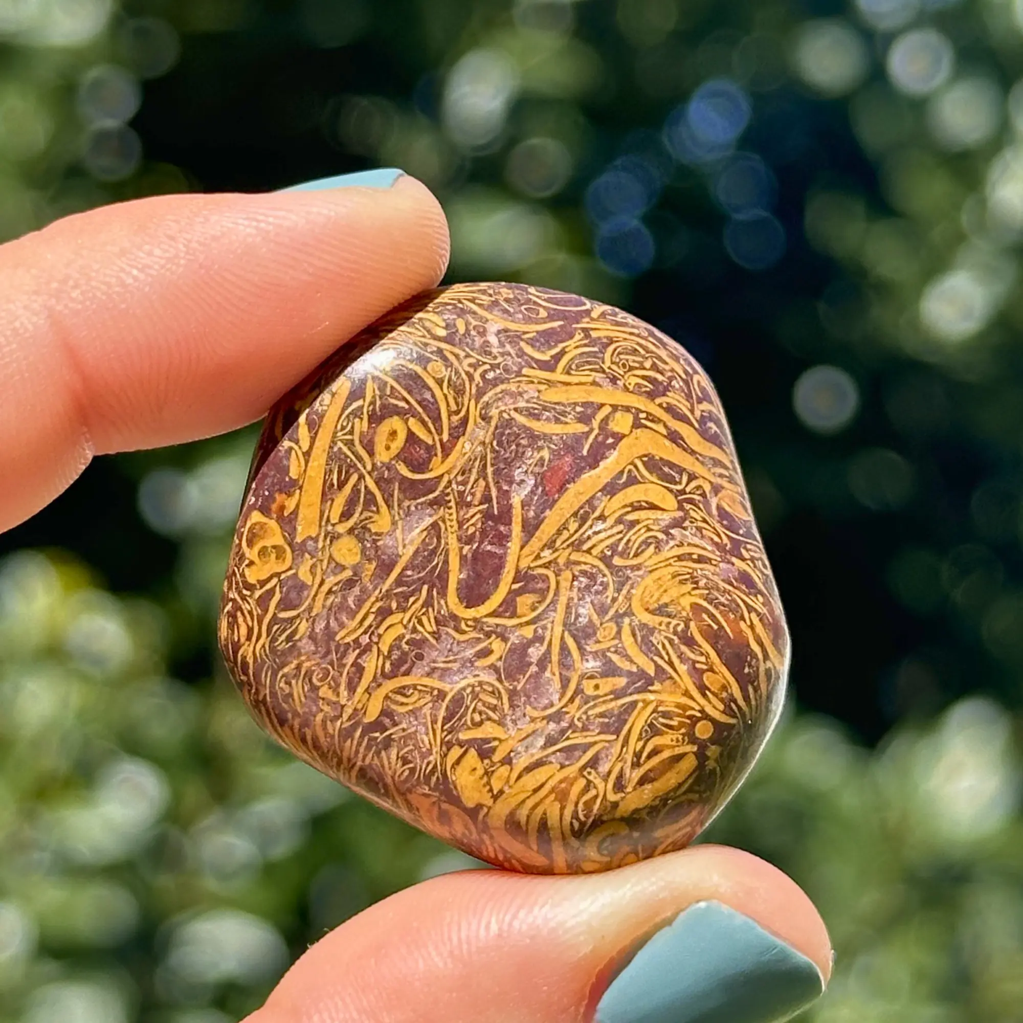 Jaspe peau de serpent entre les doigts