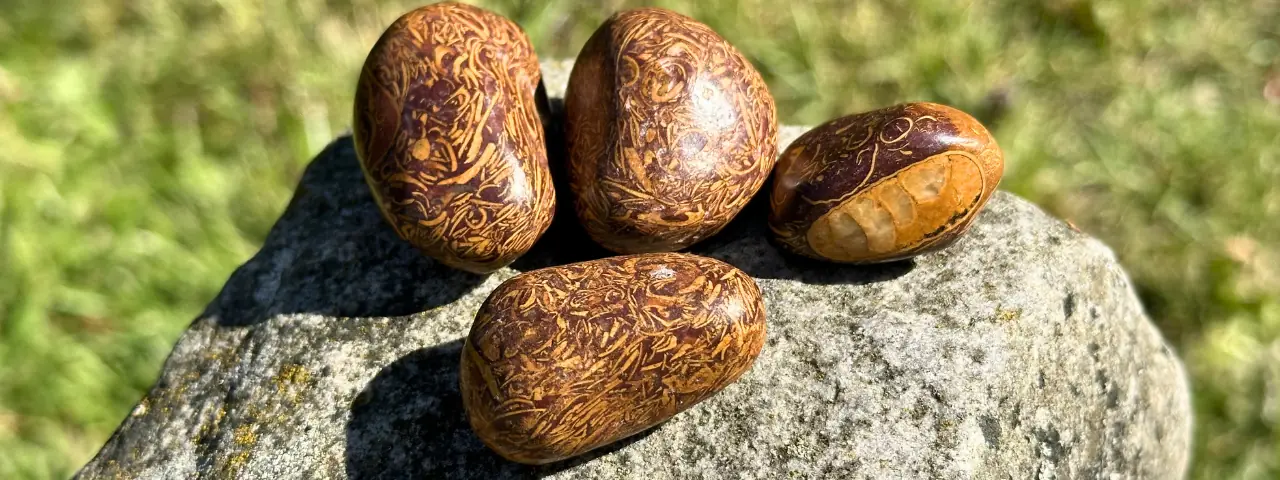 Jaspe peau de serpent sur un rocher