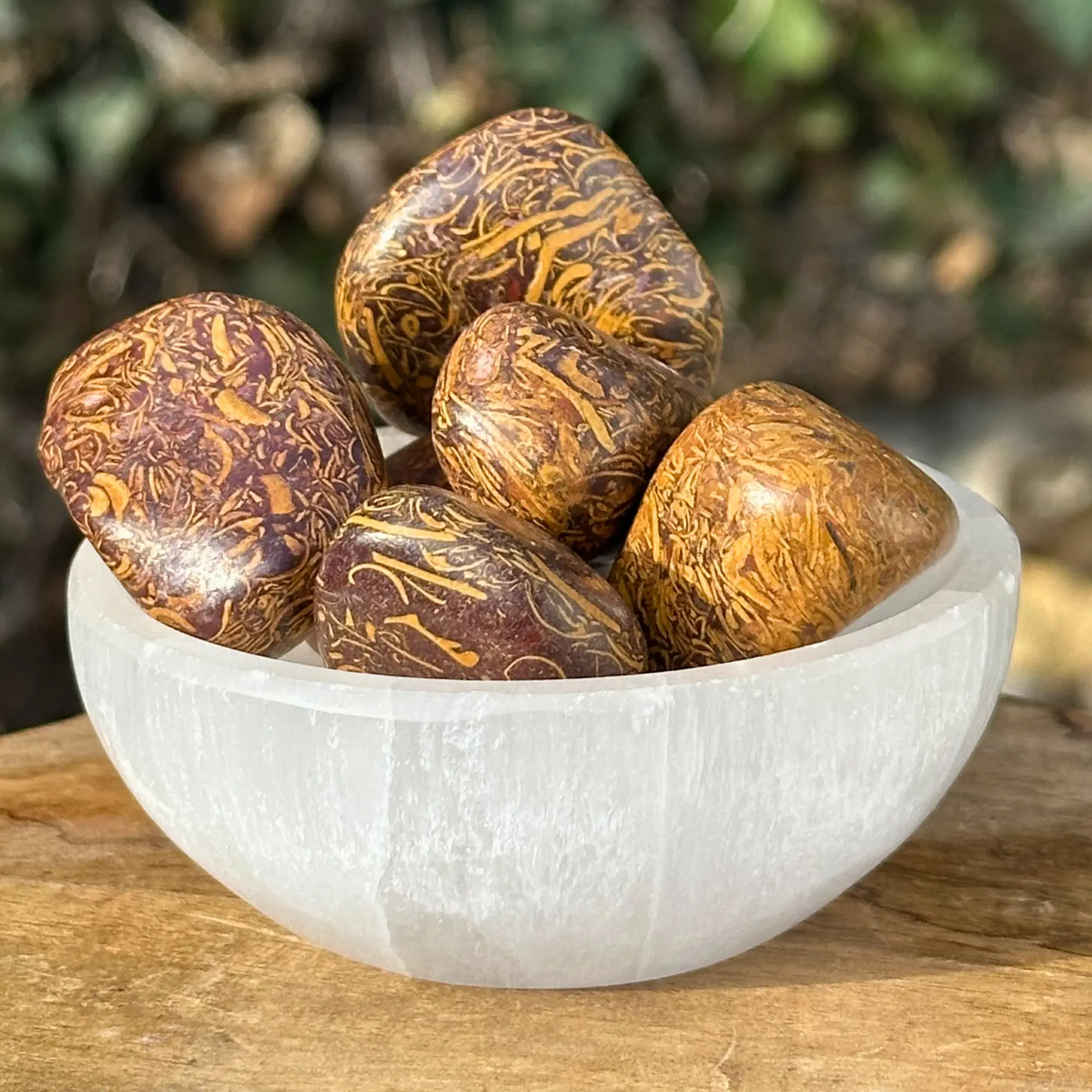 Jaspe peau de serpent dans un bol