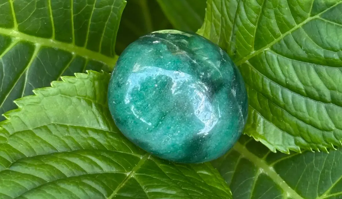 pierre mai, une aventurine verte posée sur des feuilles