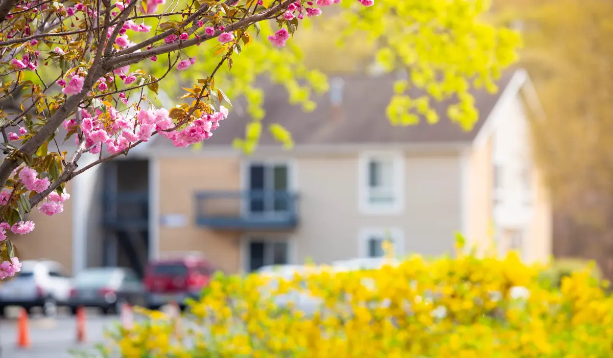 Un village au mois de mai