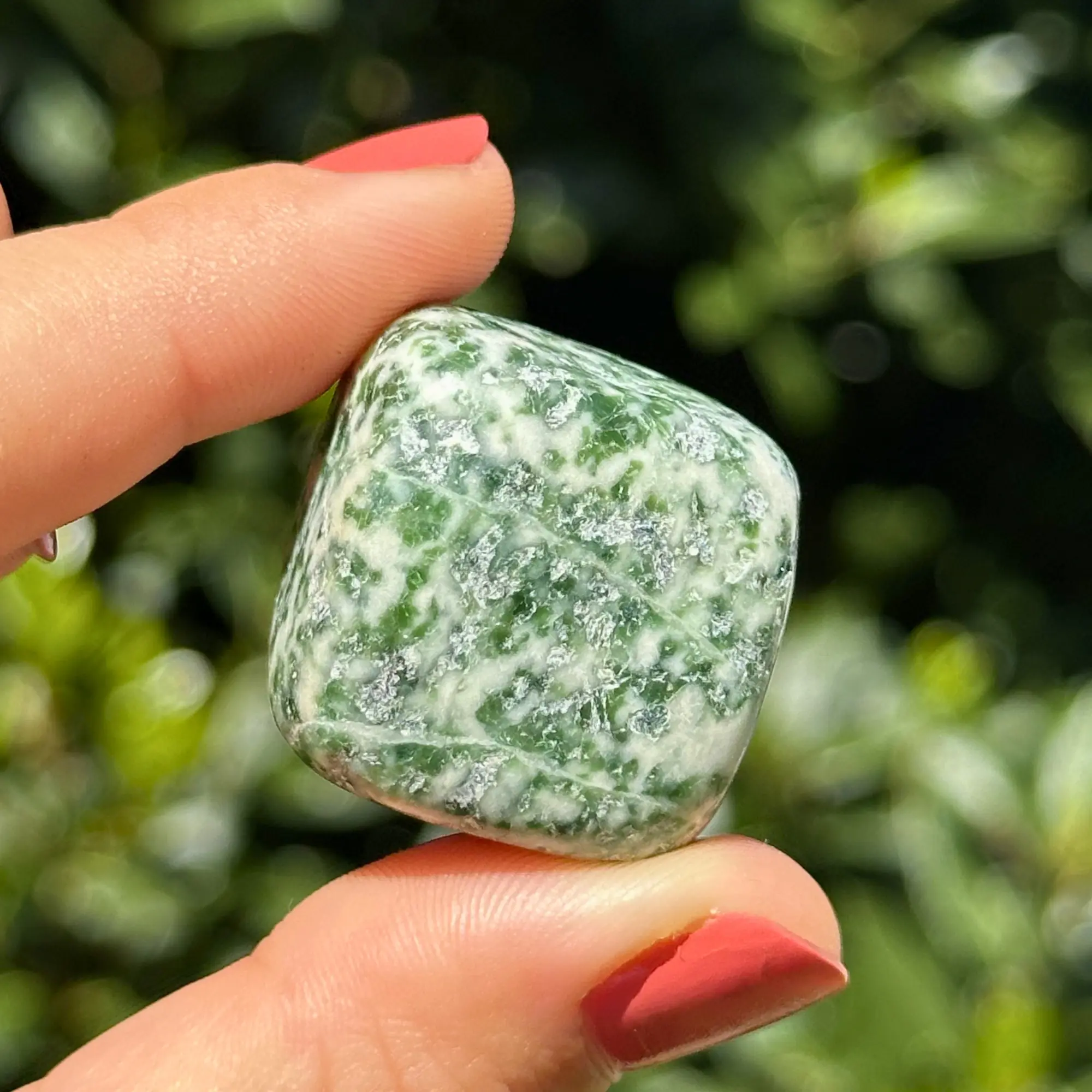 agate arbre roulée tenue entre les doigts