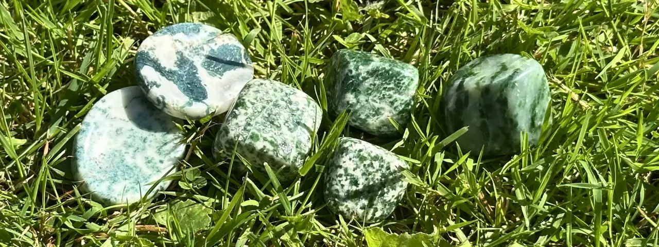 agate arbre roulée et galet dans l'herbe