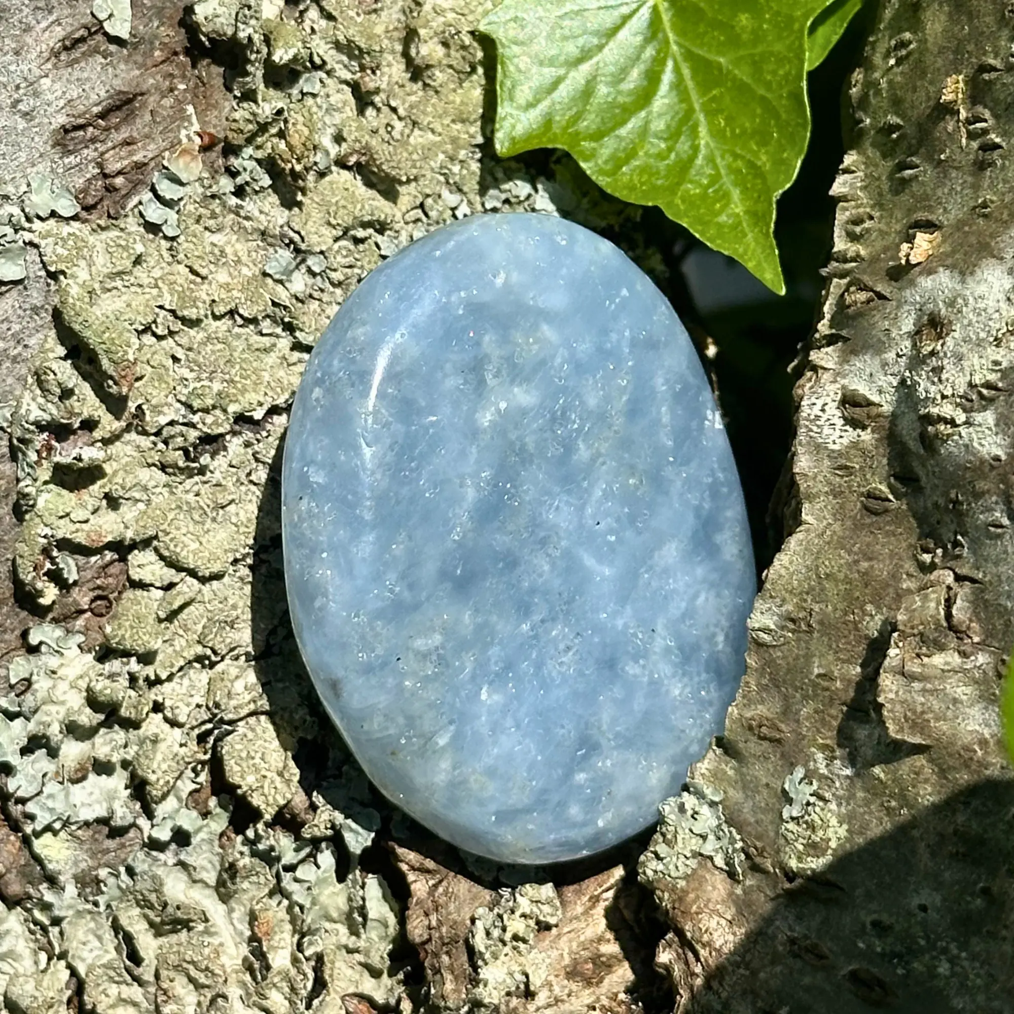 calcite bleue plate dans un arbre
