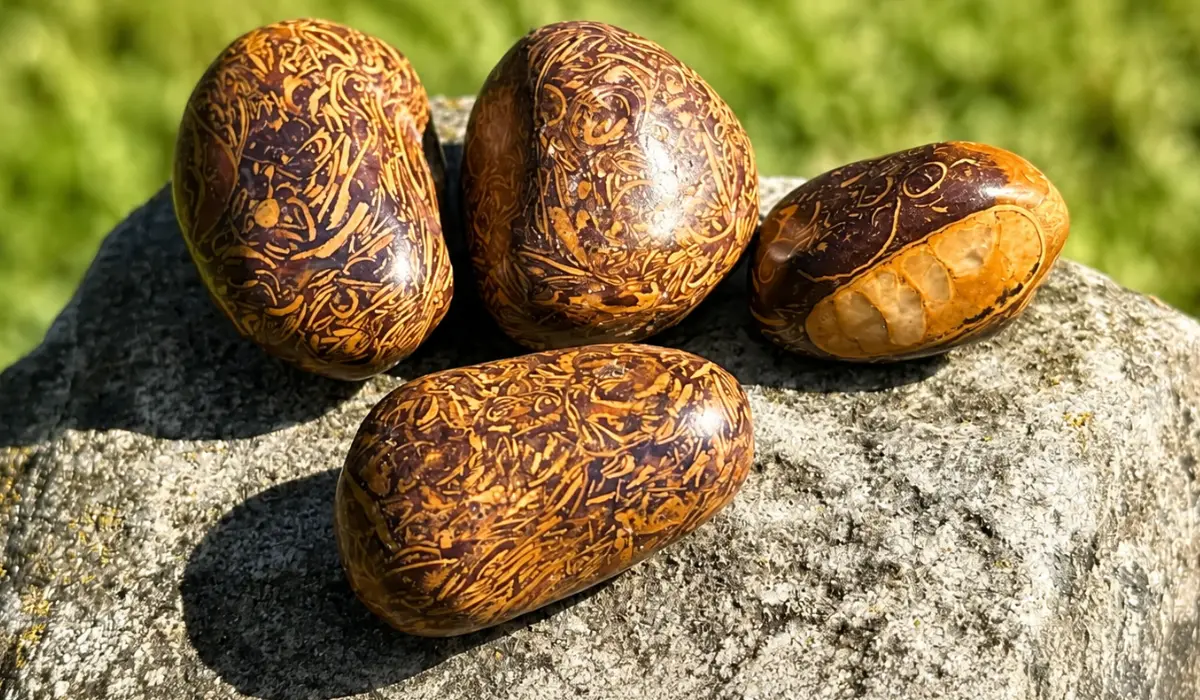 Jaspe peau de serpent sur un rocher