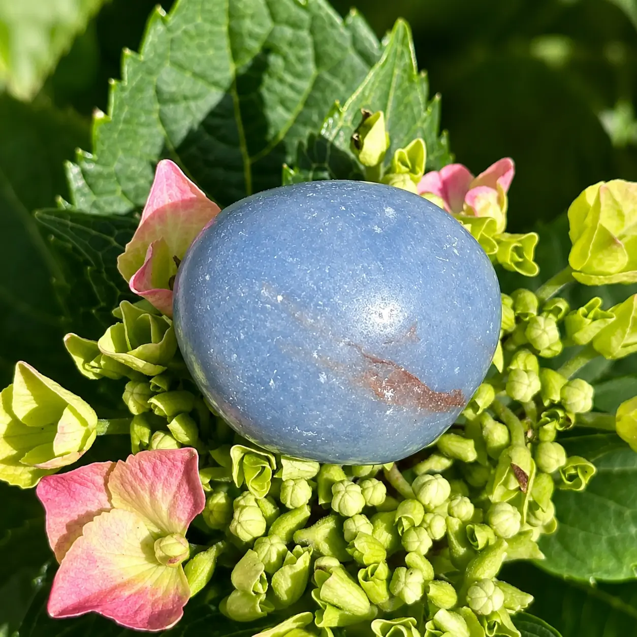 Angélite bleue roulée posée sur une fleur