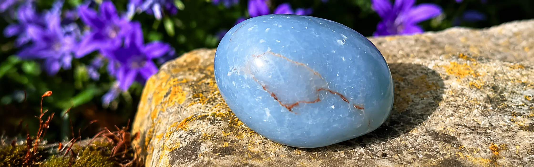 angélite roulée bleue roulée sur une roche