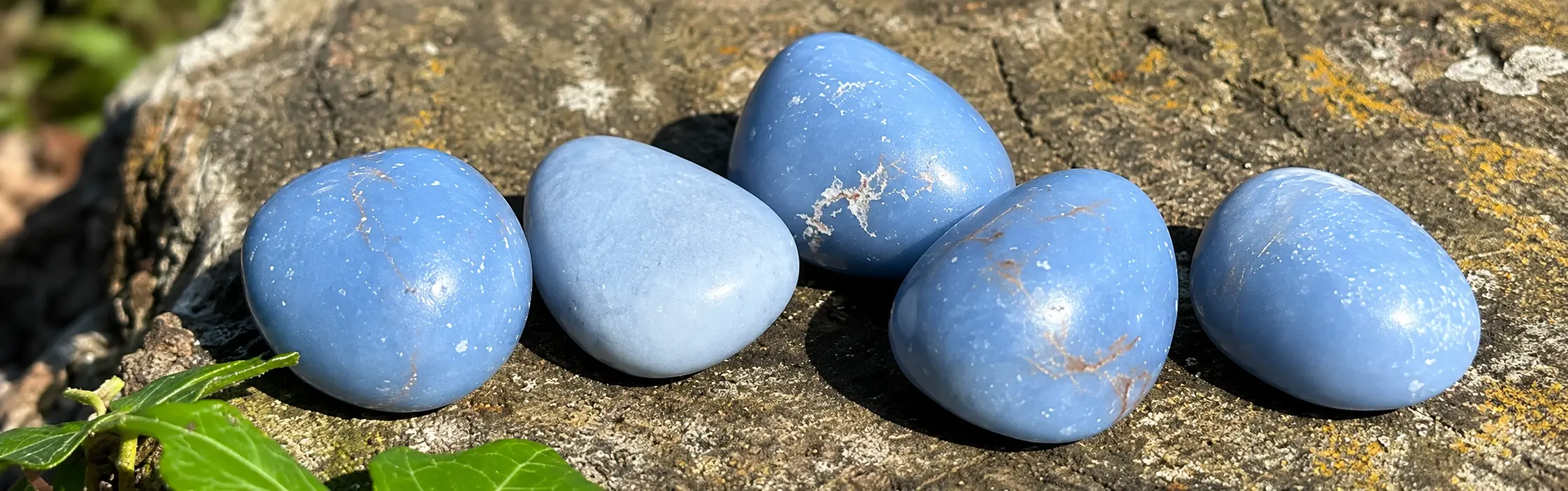 angélite roulée bleue roulée sur une souche
