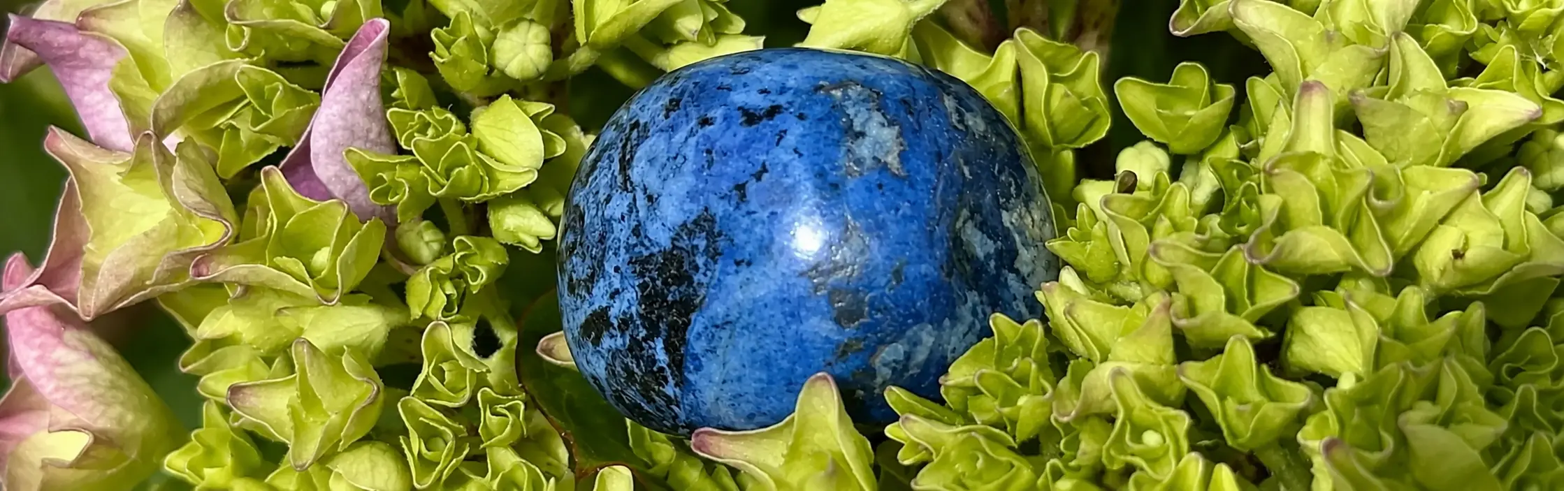 dumortiérite roulée posée sur une fleur