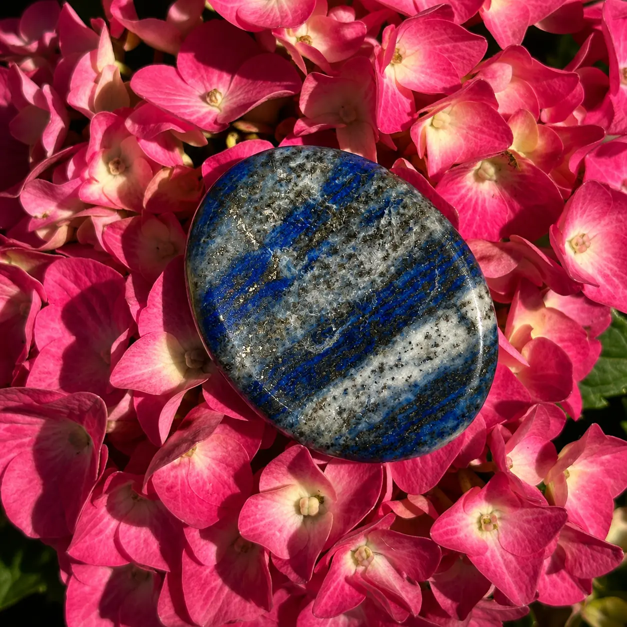 Galet anti-stress de lapis-lazuli posé sur un hortensia