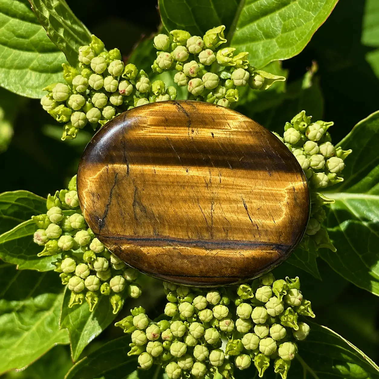 Galet anti-stress en oeil de tigre sur une fleur
