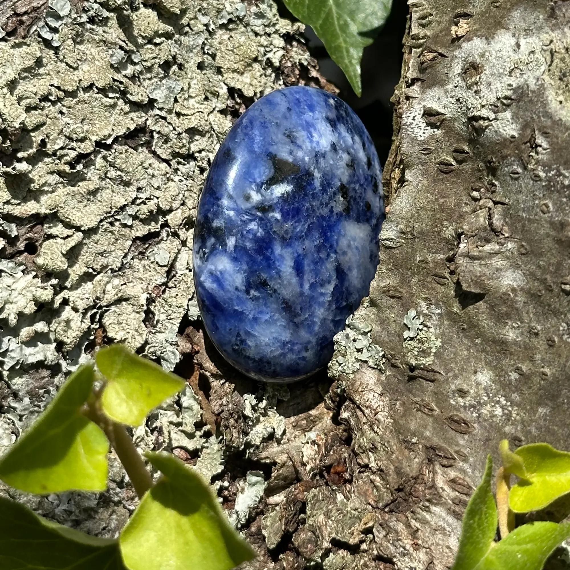 galet sodalite dans un arbre