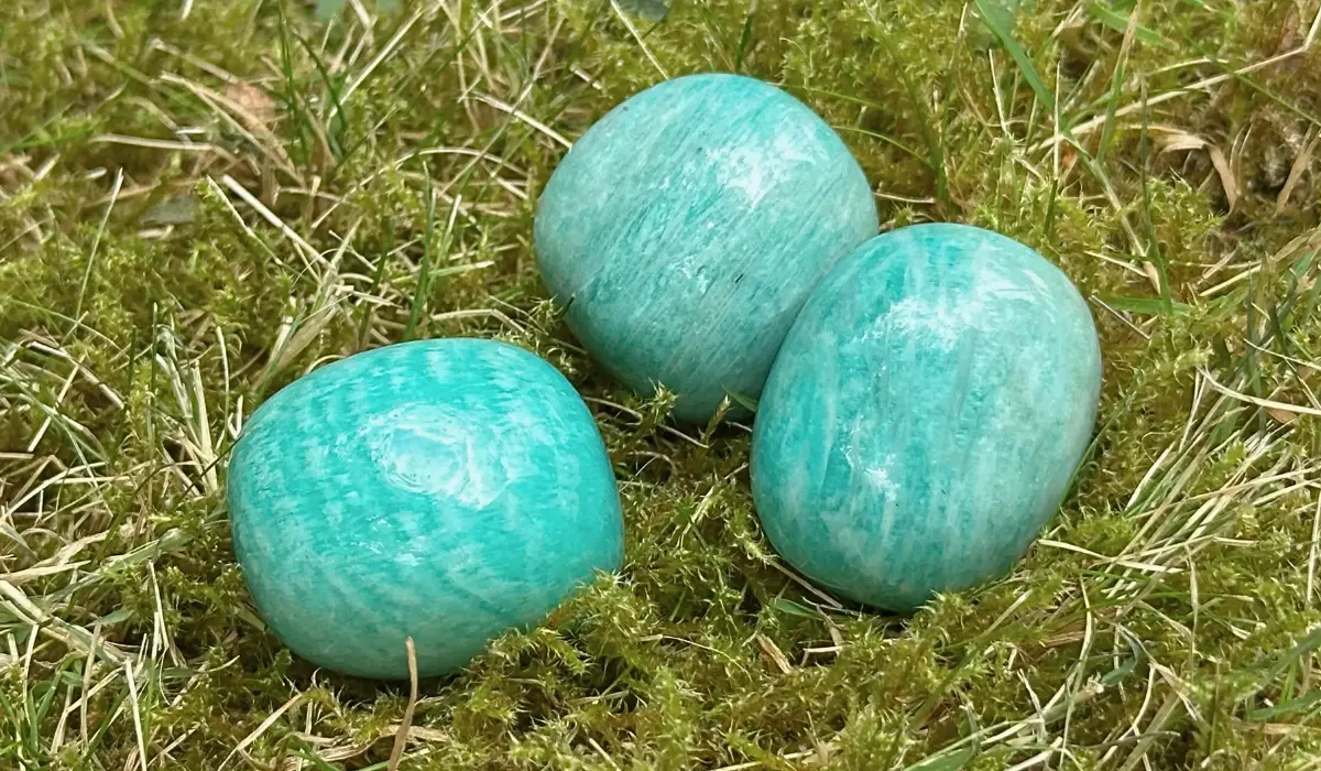 amazonite roulée posée sur de la mousse végétale
