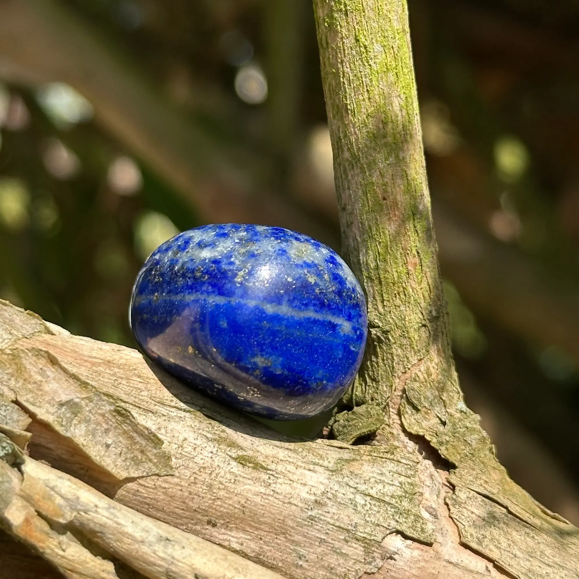 lapis lazuli roulé dans un arbre