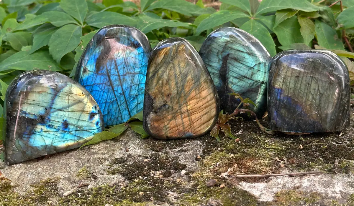 Collection de labradorite forme libre
