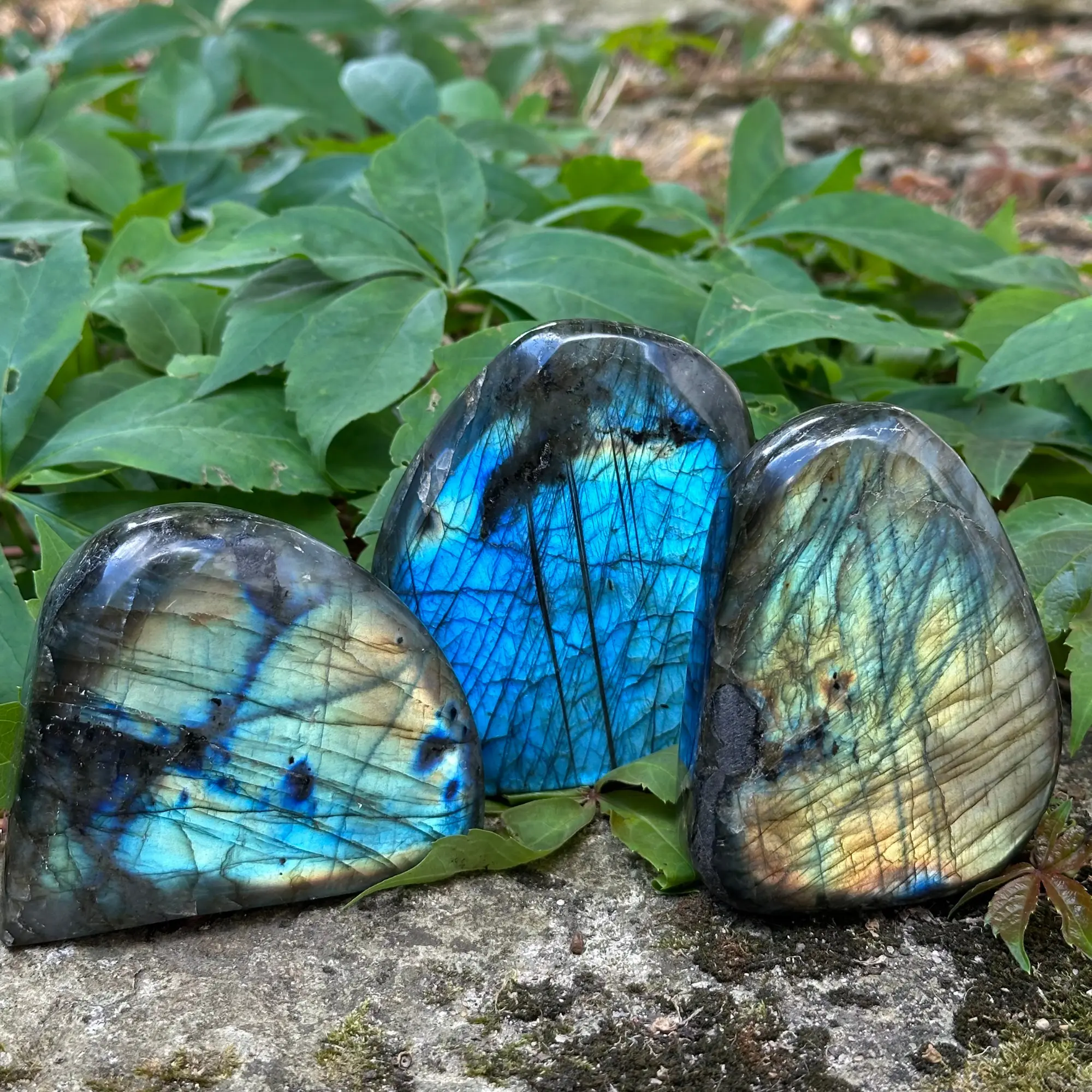 trois labradorites forme libre sur un rocher