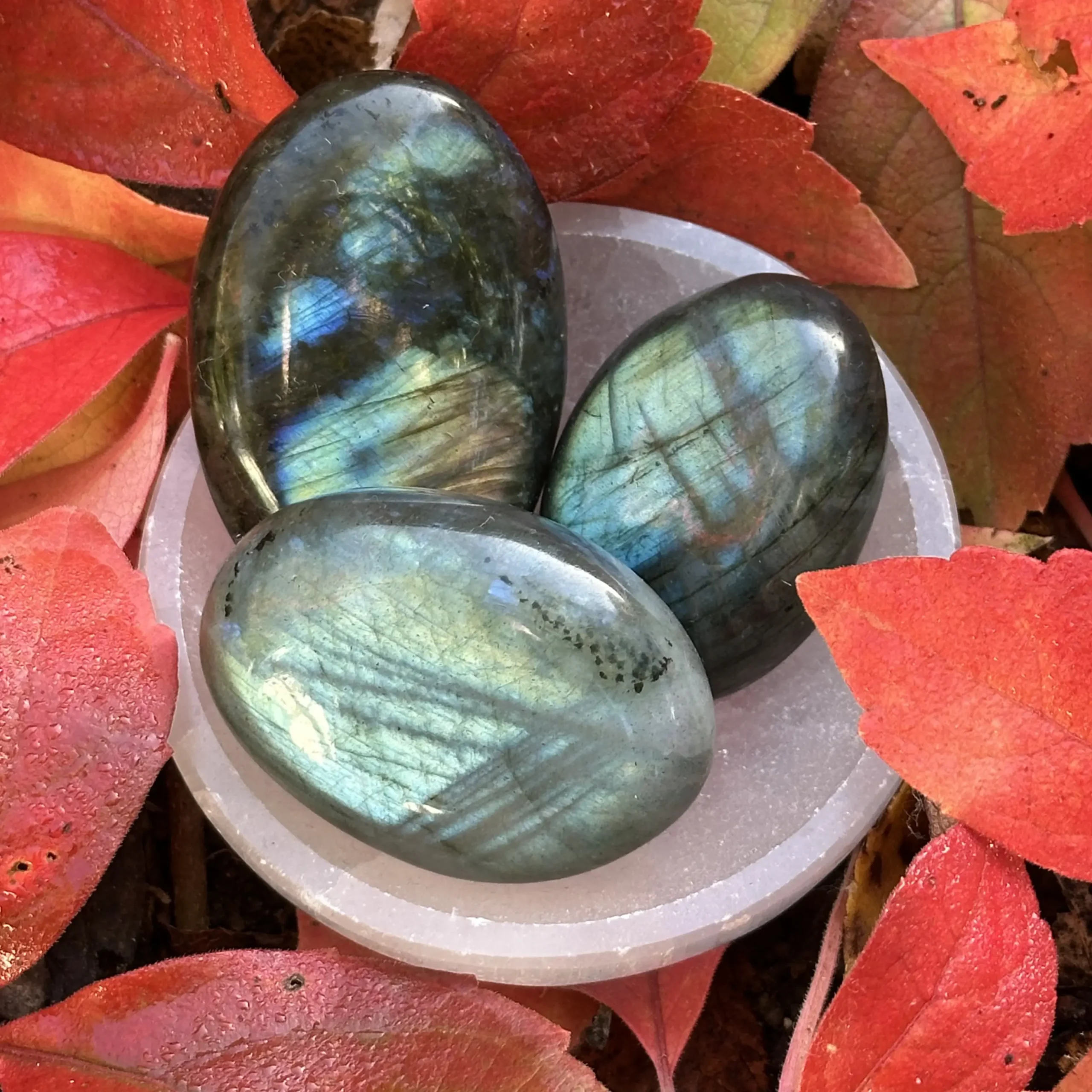 Galets de labradorite dans un bol entourés de feuilles de l'automne 2026